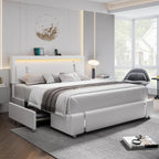 Queen Bed Frame with LED Headboard